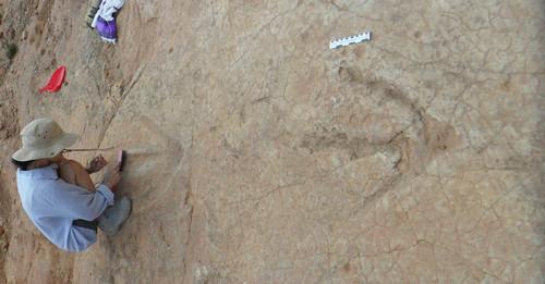 非洲发现巨型食肉恐龙足迹化石 或是2亿年前地球霸主
